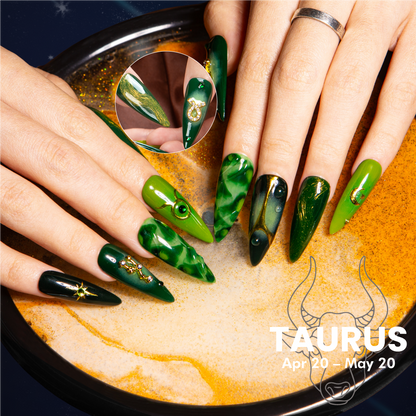 Taurus in Retrograde Handmade Nails H598